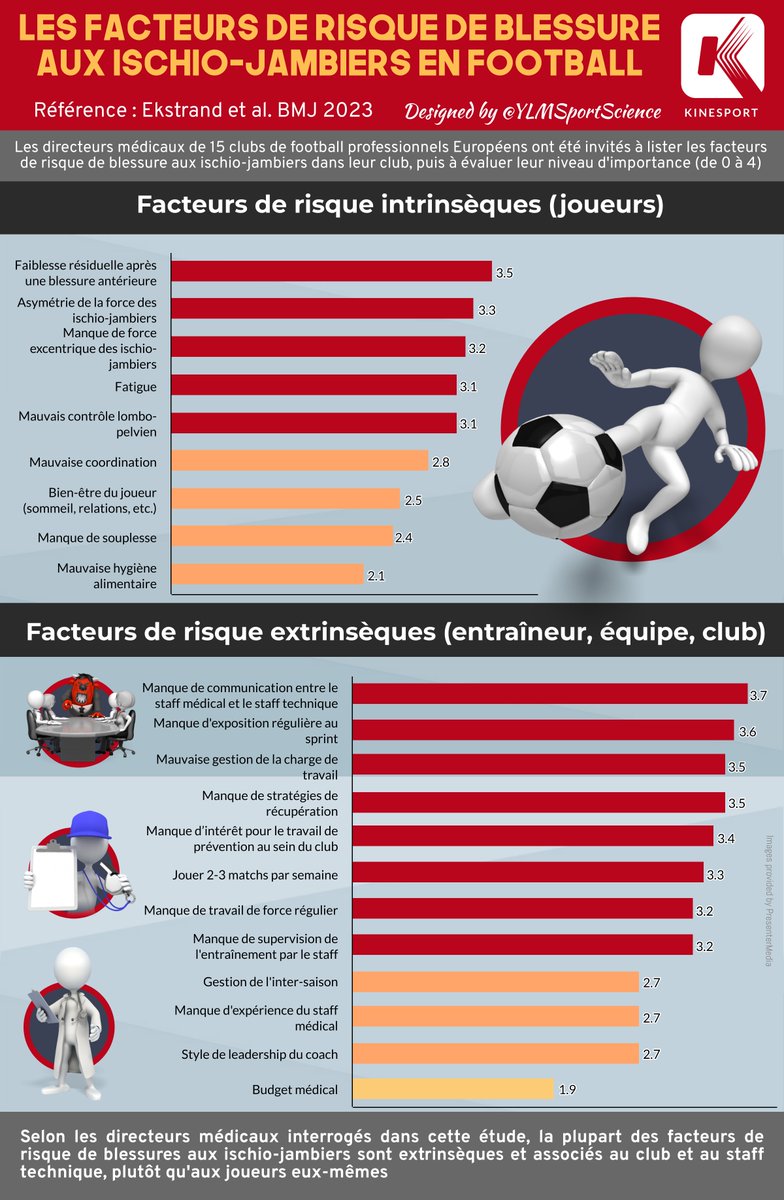 🔍 Les facteurs de risque de blessure aux ischio-jambiers en football #kinesport vous propose une nouvelle infographie de @YLMSportScience Retrouvez toutes nos infographies ➡️ bit.ly/InfographiesKi…
