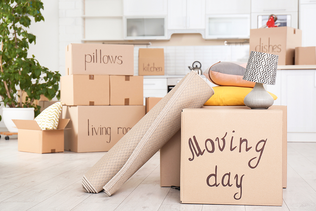 Renatorealtor's tweet image. These #movingtips can make it easier to plan and execute a #longdistancemove.  cpix.me/a/172036353