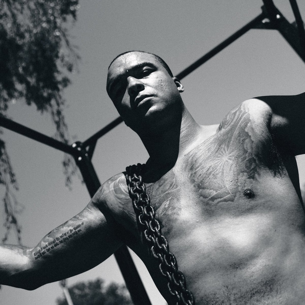 Fabio Wardley tweet media