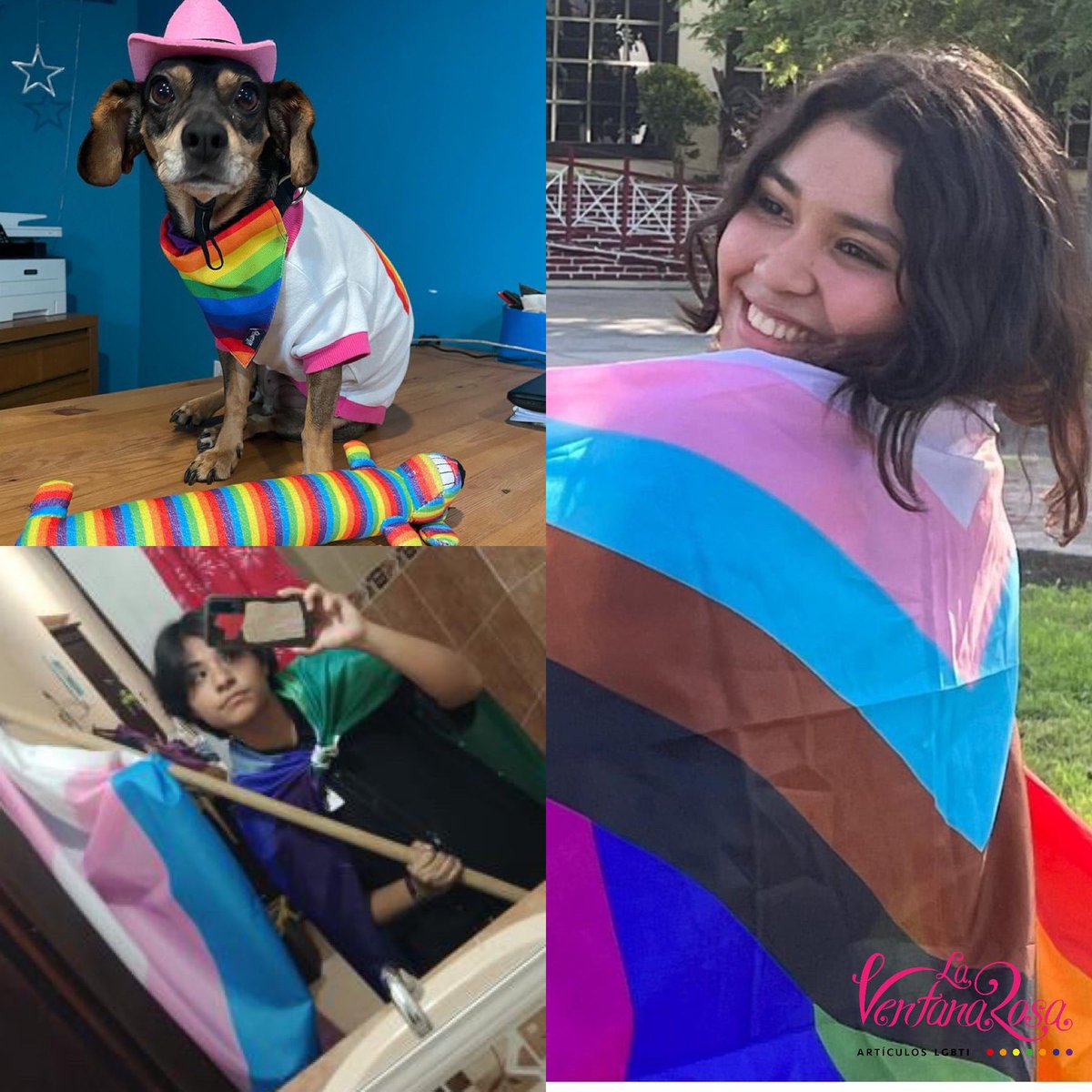 la_ventana's tweet photo. Gracias por compartirnos sus fotos y adquirir nuestros artículos #lgbt 🏳️🌈 para la #marchasdelorgullo #marchadeladiversidad 🌈.
#mesdelorgullo #pride #pridemonth #gaypride #orgullolgbt #gay #queer #lgbt #regiogay #montegay
🔴🟠🟡🟢🔵🟣
#ventanarosa #articuloslgbt #tiendalgbt https://t.co/nrQMntomcq