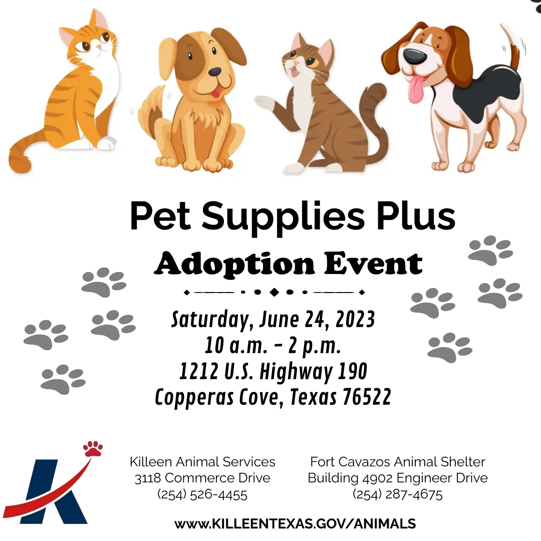 City of Killeen, TX on Twitter "🐾 Stop by and visit the Killeen Animal