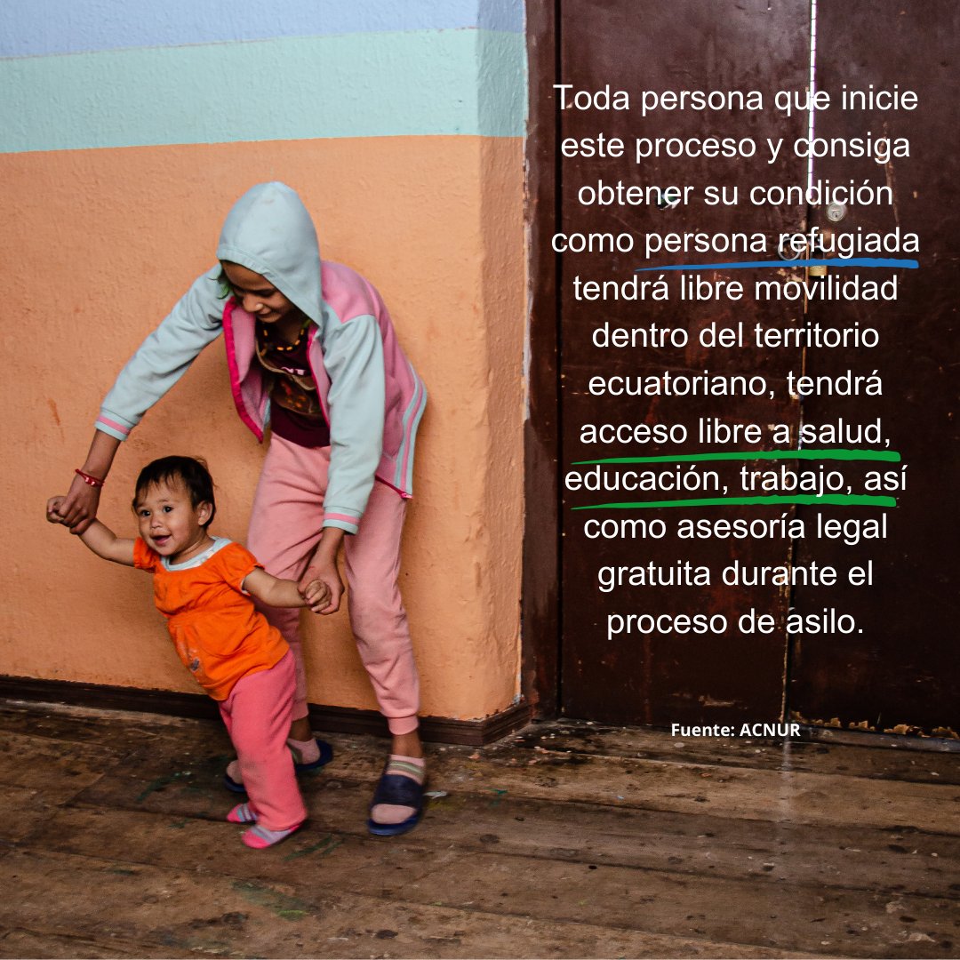 AVSI Ecuador tweet media