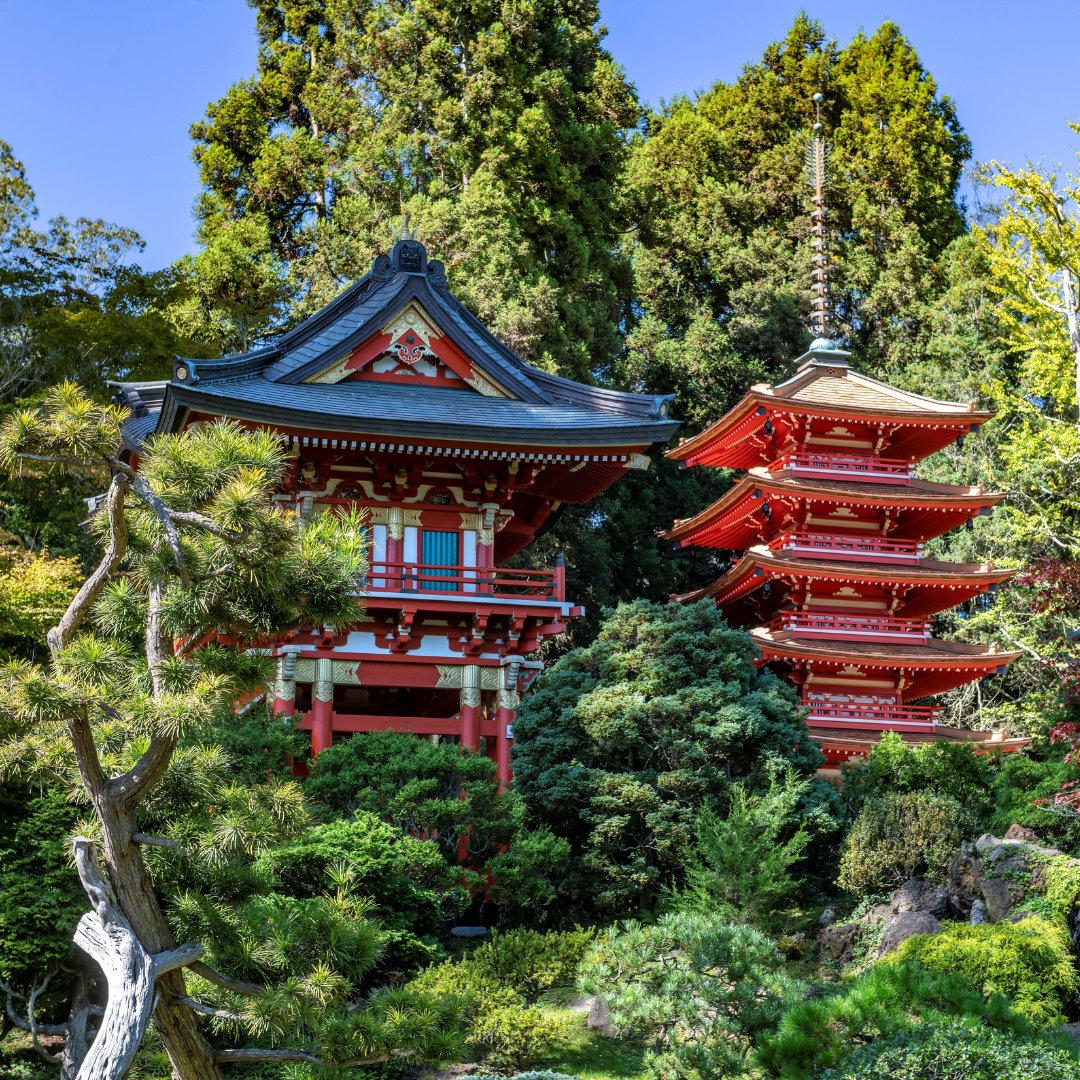 7x7's tweet photo. Explore tropical plants at the @sfconservatory, find serenity at the historic #japaneseteagardensf, and travel the world of plants at SF Botanical Garden @sfbgs. Learn about a Gardens Pass at https://t.co/WkTXtf5Jj9. #gardensofgoldengatepark #gggp #sponsored https://t.co/pNP0oM5dG1