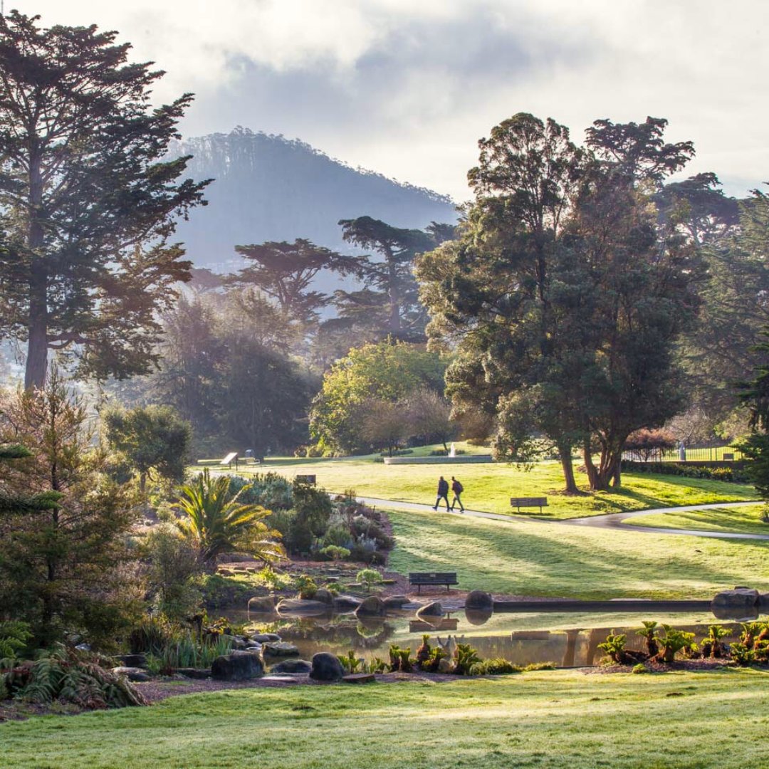 7x7's tweet photo. Explore tropical plants at the @sfconservatory, find serenity at the historic #japaneseteagardensf, and travel the world of plants at SF Botanical Garden @sfbgs. Learn about a Gardens Pass at https://t.co/WkTXtf5Jj9. #gardensofgoldengatepark #gggp #sponsored https://t.co/pNP0oM5dG1