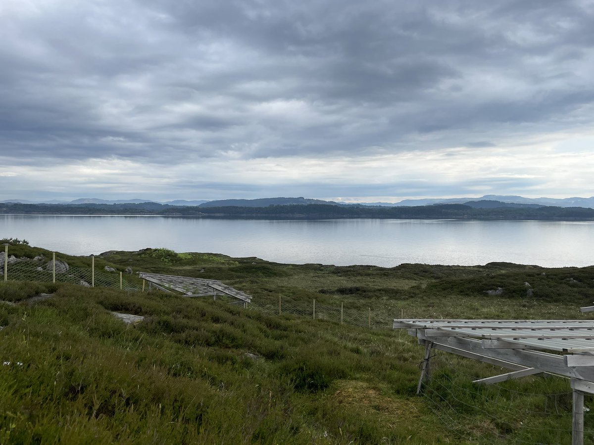 Dr. Hilary Rose Dawson tweet media