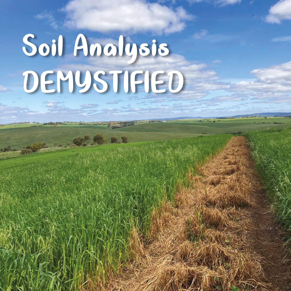 BioAg_AU's tweet image. Understanding what&apos;s going on with your soil is 🔑to ensuring you&apos;re building productive soil.
We demystify 4 key soil analysis principles for you: bit.ly/43MV3ze 

#soilprinciples #soilanalysis #bioag #soilhealth #livingsoil #regenerativeagriculture #naturalfertiliser