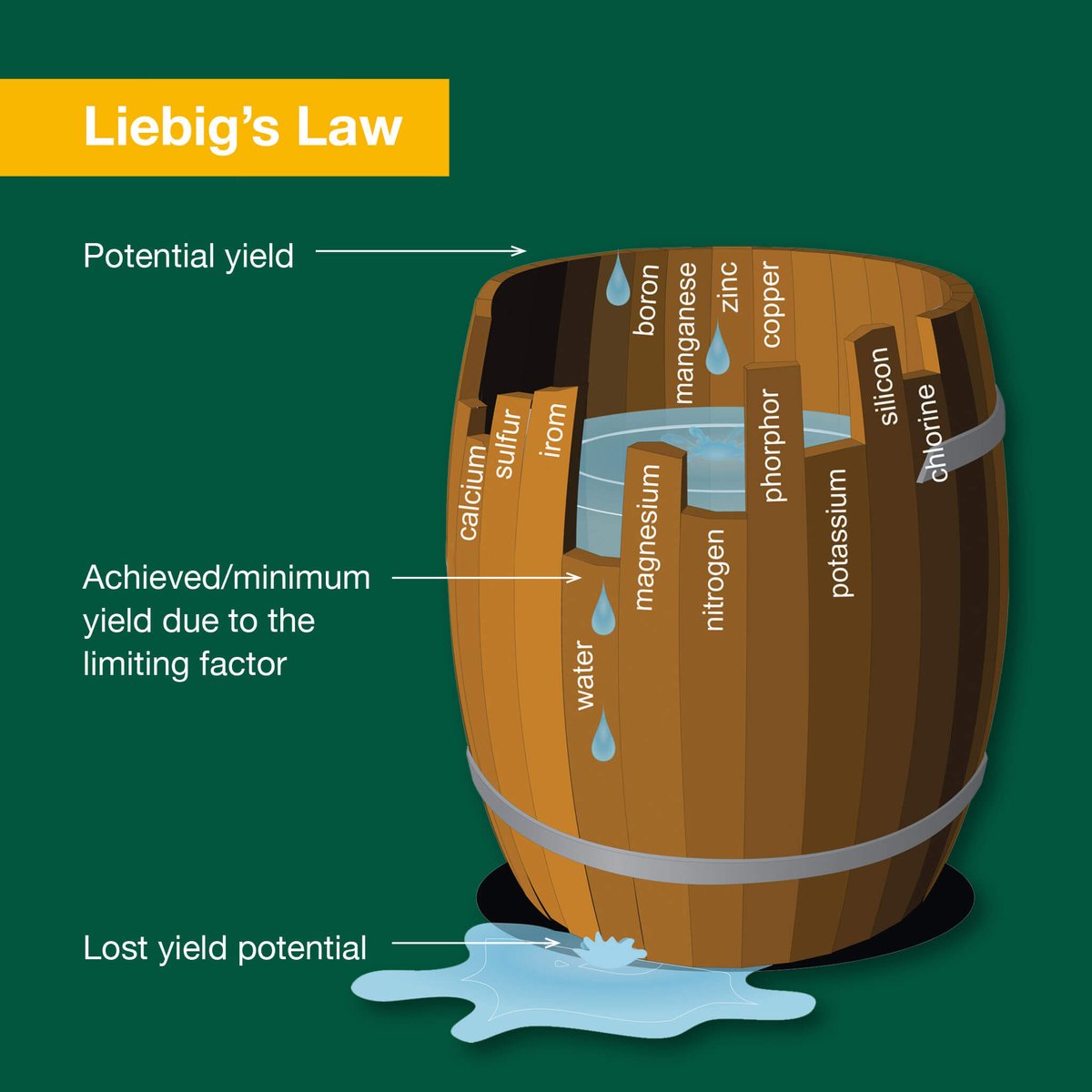 BioAg_AU's tweet image. Understanding what&apos;s going on with your soil is 🔑to ensuring you&apos;re building productive soil.
We demystify 4 key soil analysis principles for you: bit.ly/43MV3ze 

#soilprinciples #soilanalysis #bioag #soilhealth #livingsoil #regenerativeagriculture #naturalfertiliser