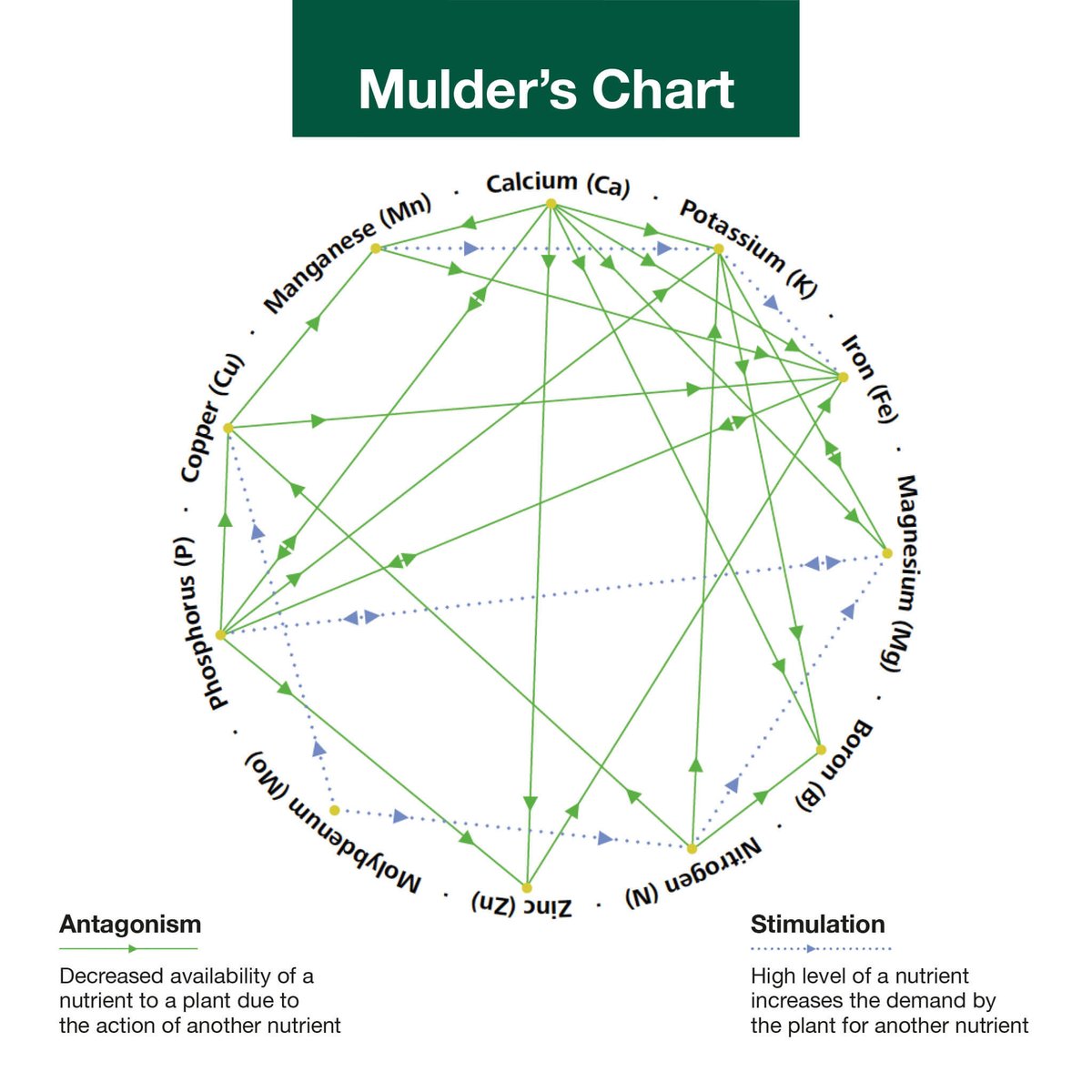 BioAg_AU's tweet image. Understanding what&apos;s going on with your soil is 🔑to ensuring you&apos;re building productive soil.
We demystify 4 key soil analysis principles for you: bit.ly/43MV3ze 

#soilprinciples #soilanalysis #bioag #soilhealth #livingsoil #regenerativeagriculture #naturalfertiliser