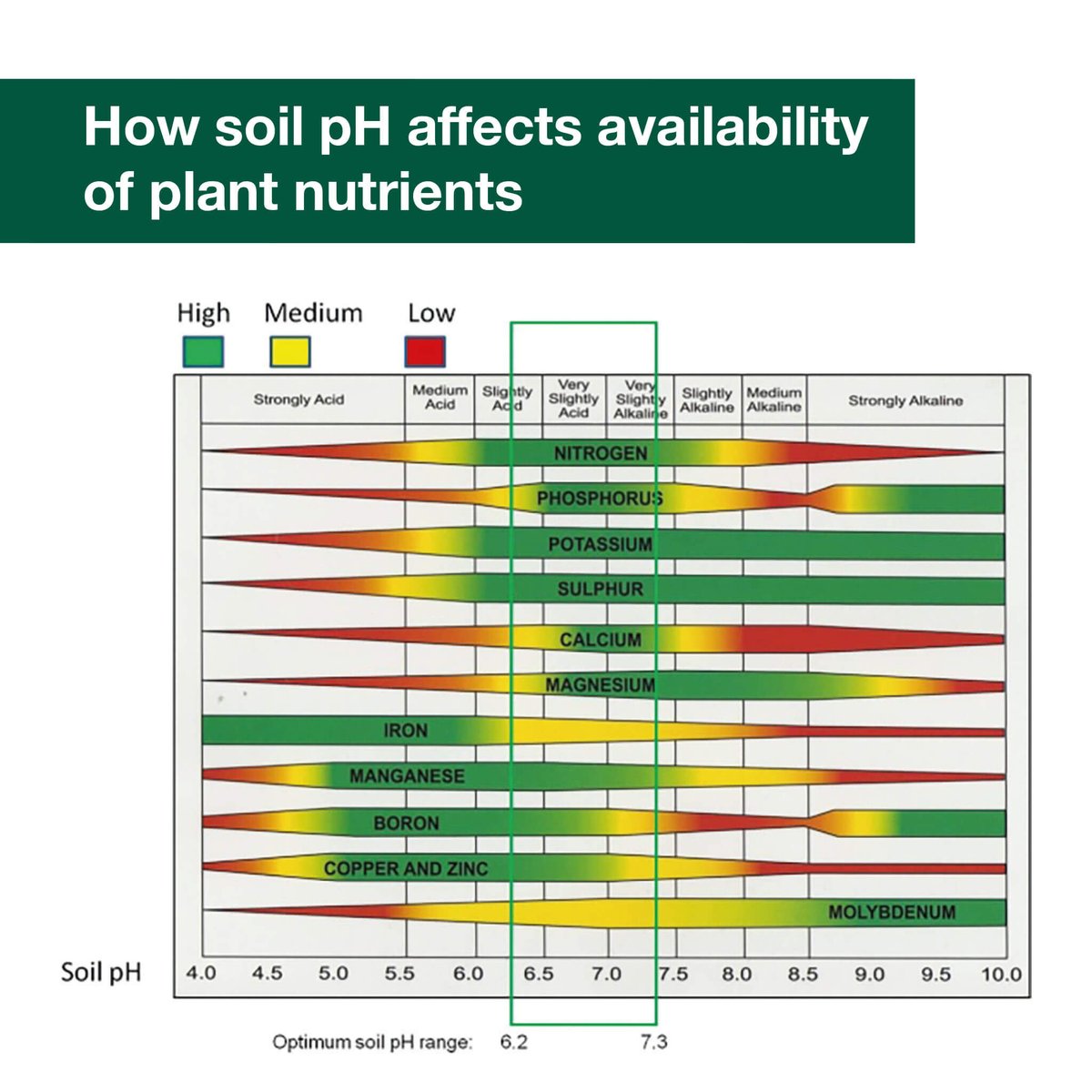 BioAg_AU's tweet image. Understanding what&apos;s going on with your soil is 🔑to ensuring you&apos;re building productive soil.
We demystify 4 key soil analysis principles for you: bit.ly/43MV3ze 

#soilprinciples #soilanalysis #bioag #soilhealth #livingsoil #regenerativeagriculture #naturalfertiliser