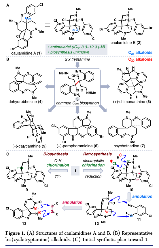 Total Synthesis tweet media