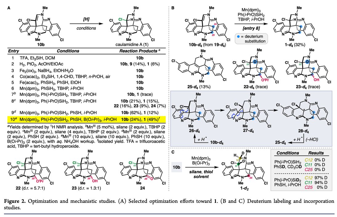 Total Synthesis tweet media