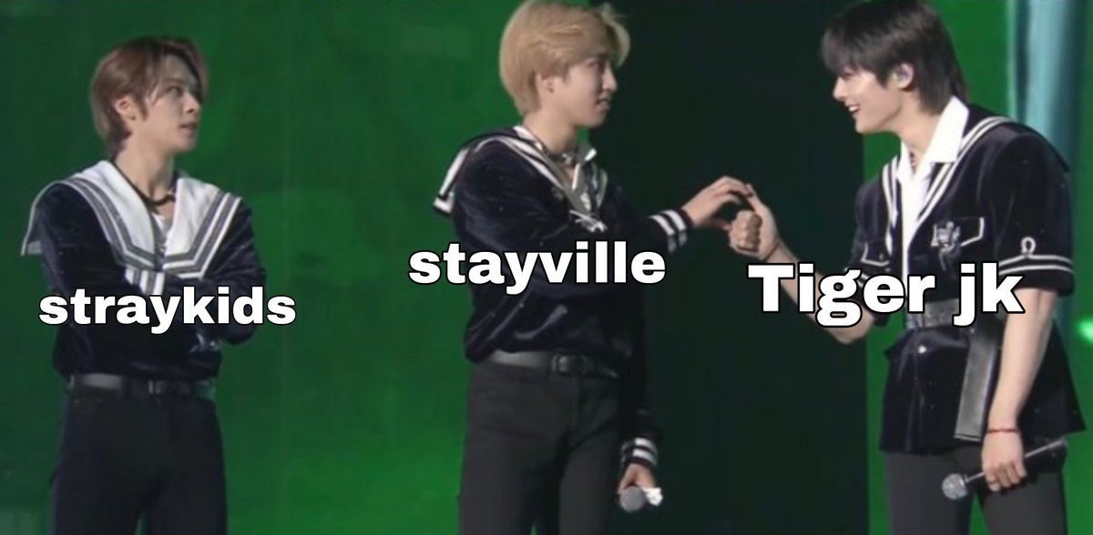 Stayville right now crushing over Tiger jk 😆