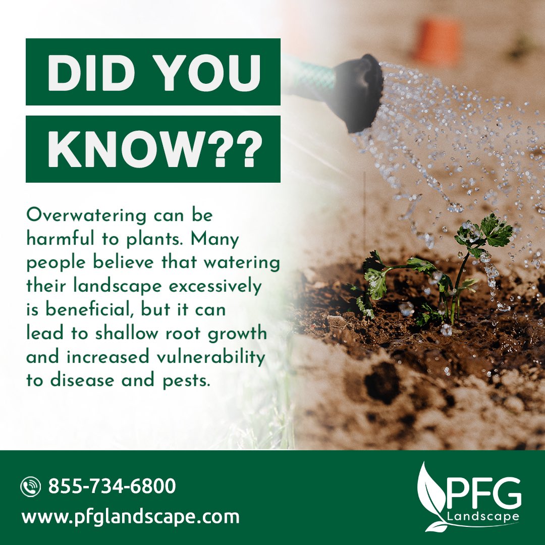 Too much water can suffocate the soil, leading to root rot, plant death, and other costly problems. 

Don’t let over-watering kill your beautiful plants — find out exactly how much your plants need with the help of PFG today. 

#PFGLandscape #landscapinglife #didyouknow