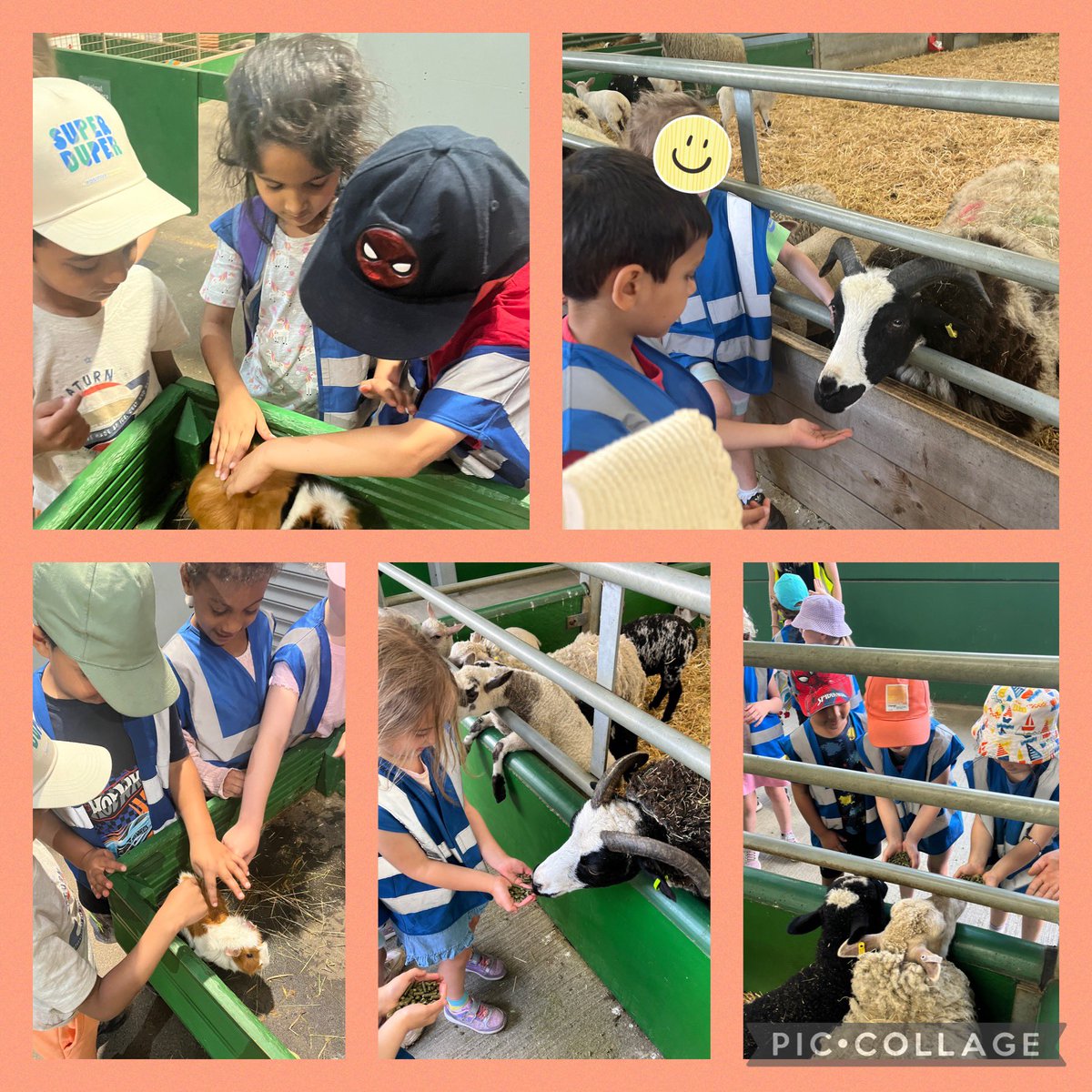 Reception@fircroft.family tweet media