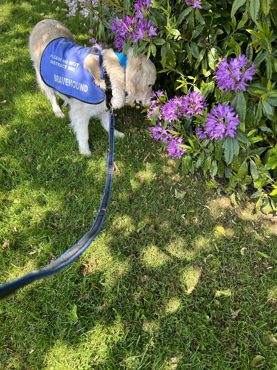 #Taketime to #smelltheflowers 
#taketimetosmelltheflowers