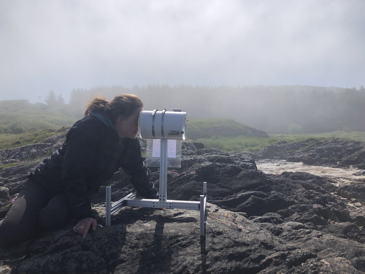 Isabel Key tweet media