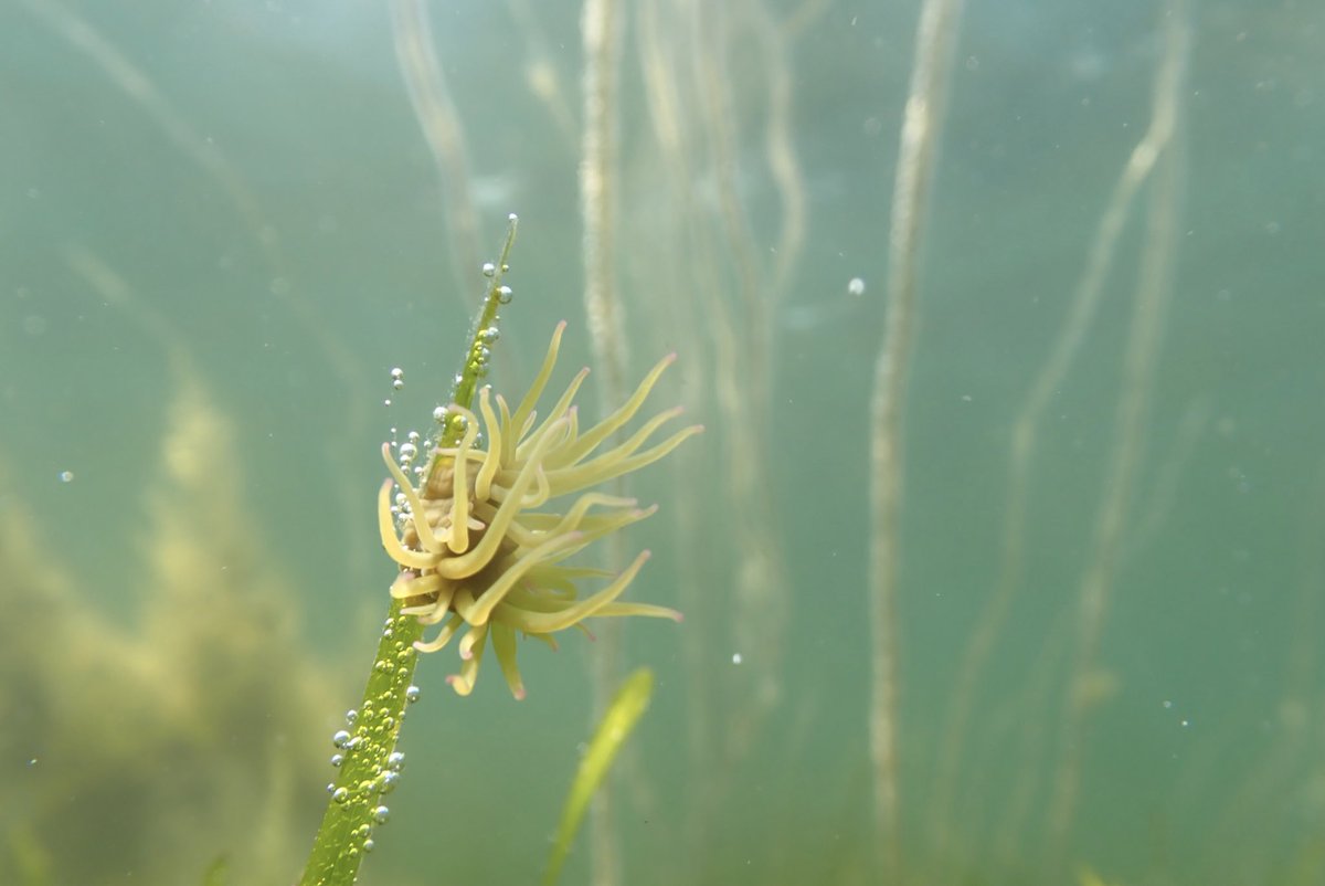 Isabel Key tweet media