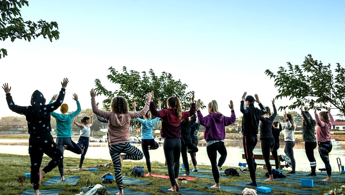 Start of the Summer & World Yoga Day!
We start the day with a lovely Yoga session. Everyday again. #puravidalodge #surfandyoga #mimizan #yogaeveryday  #yogaholiday #surfcamp #yoga #yogatravel #yogacamp #surflodge #surfandyogaretreat #mimizanplage  #yogalove #surfgirl #yogagirl