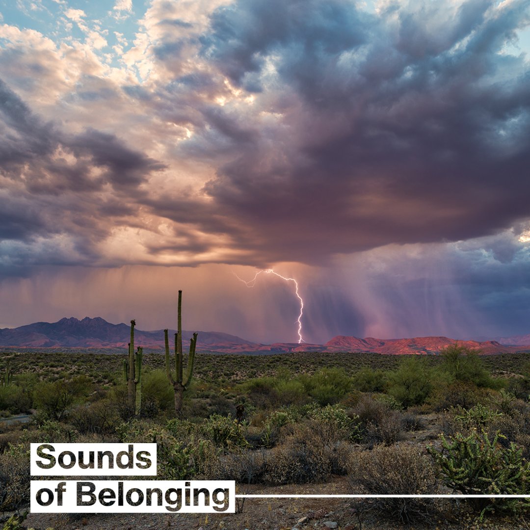 Narrative Storytelling Initiative tweet media