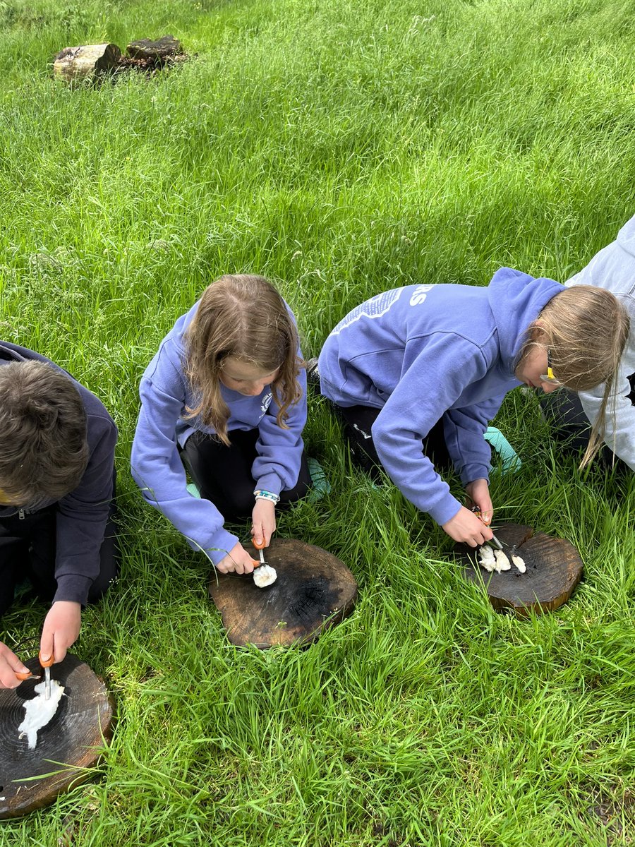 Willowclasshh's tweet photo. This afternoon we used fire steels to try and start a fire! Of course we also learnt how to put it out safely! We then cooked some bread in the fire. @PinkeryENPA https://t.co/HDybnh9bvi