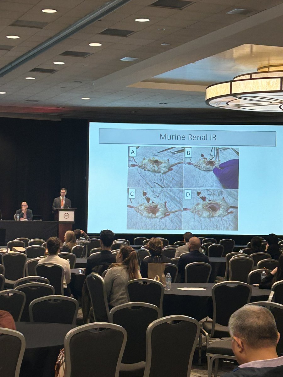 julia_bohannon's tweet photo. Dr. Eric Mace presenting his work on sGC-mediated protection against hyperoxia-induced vascular dysfunction at #shockcon @ShockSociety @VUMC_Anes #PROTECT_Lab @ftbIV https://t.co/gCZn9Fy0Is
