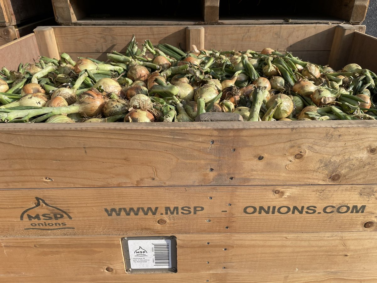 Lennart Moerdijk tweet media