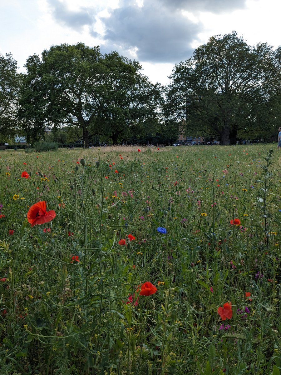 we're done here tweet media