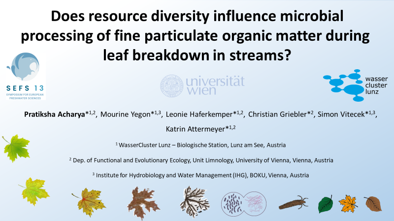 Interested in leaf litter decomposition in streams, check out my talk tomorrow at #SEFS13, presenting 
at 3:45PM, 8G_RS20, Room 2.16