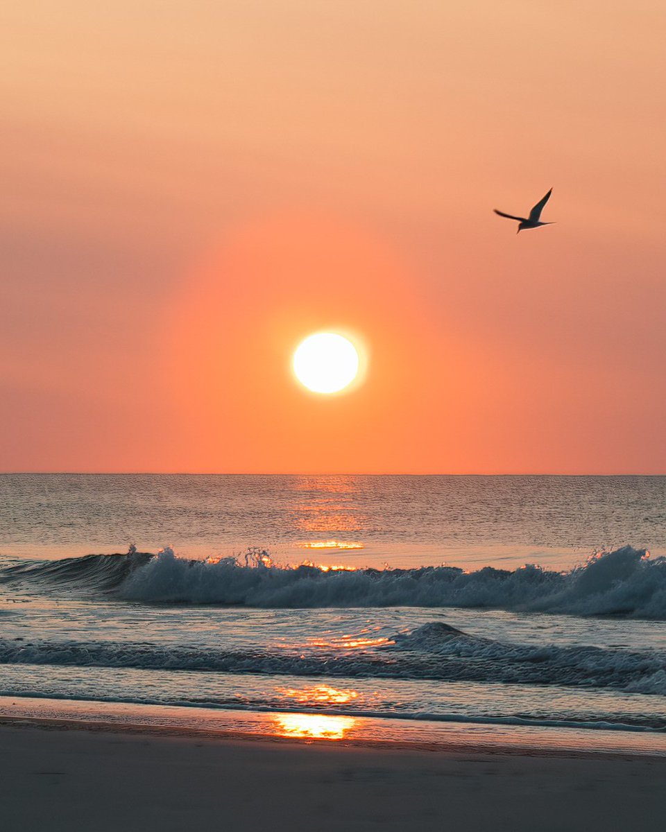 KVAvisual's tweet image. Sea Isle Sunrise