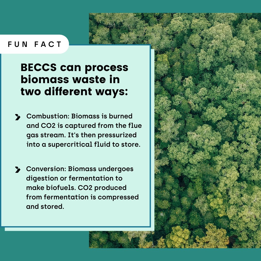 The process for carbon capture with BECCS will vary depending on the facility⁣.
⁣
Biomass either undergoes combustion or conversion, but the end result is the same: ⁣
⁣
CO2 that is removed from entering the atmosphere✅⁣
⁣
#climatetechnology #bioenergy #carbonremoval
