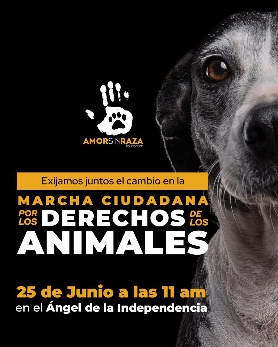 Mónica tweet media
