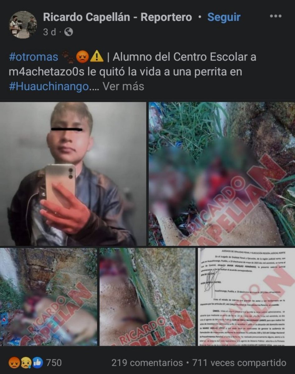 Comparto otro caso de maltrato animal, otra persona de #Huauchinango