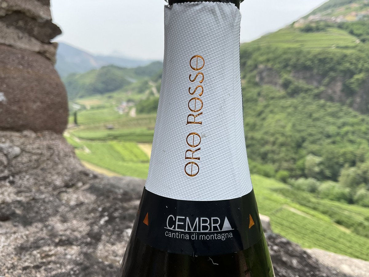 Andrea Radic tweet media