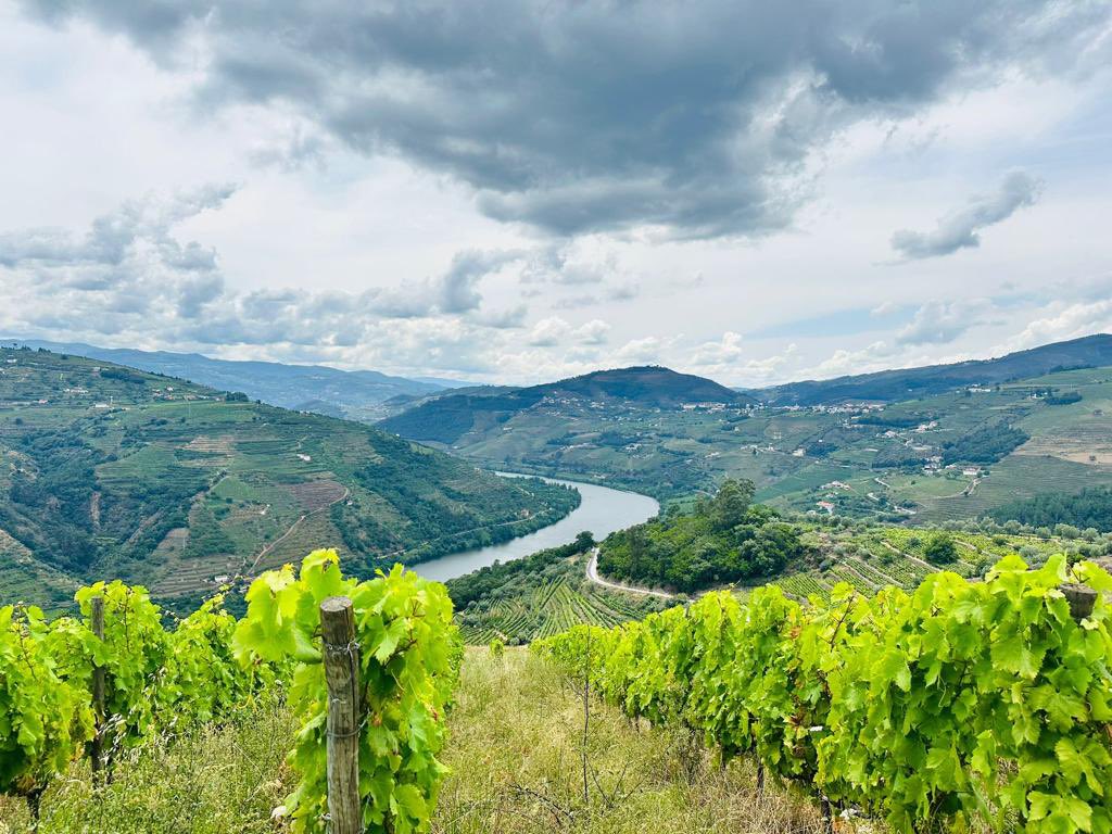 Motorrad Tours tweet media