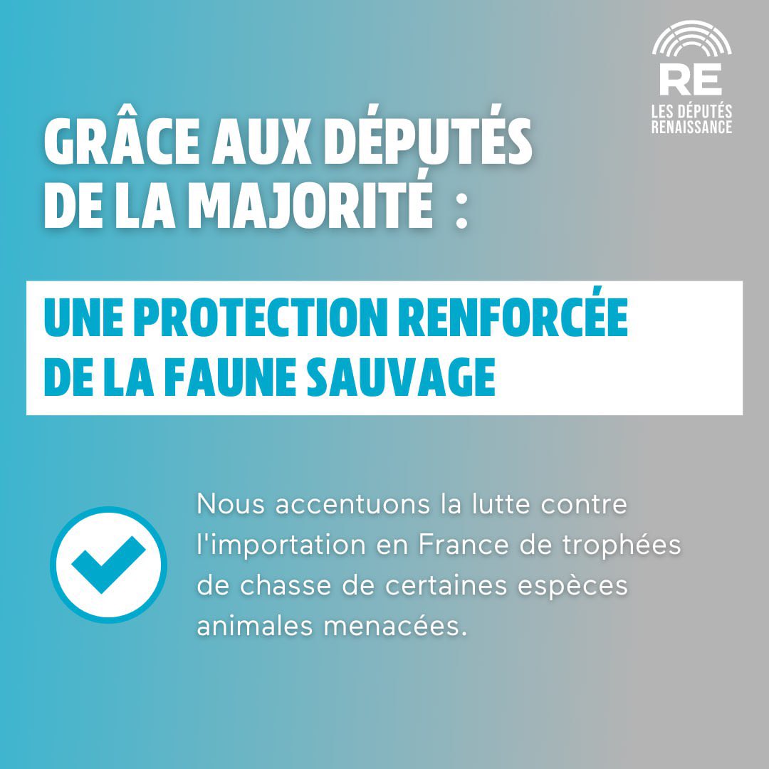 ✅ Nous ne pouvons plus laisser faire les trafics d’animaux !

Notre détermination à protéger la faune sauvage est totale. #DirectAN