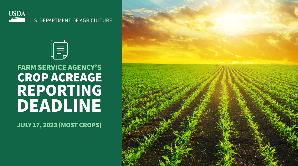 Farmers.gov on Twitter "RT usdafsa .USDA Reminds Producers to File