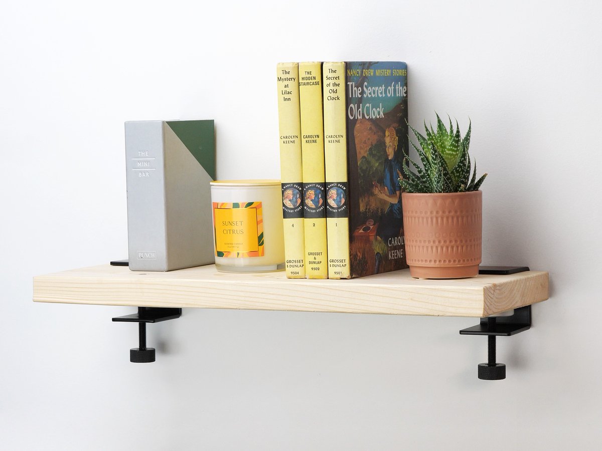 Federal Brace tweet media