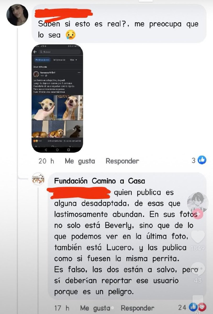 Cómo ya sabemos, la cuenta de facebook es totalmente falsa, no le crean a cualquier cuenta, Vanessa no se expondría a tener redes sociales. #Huellitas #JusticiaParaHuellitas #VanessaN Tags : ( asesina, México,cbetis,perro,perrito )