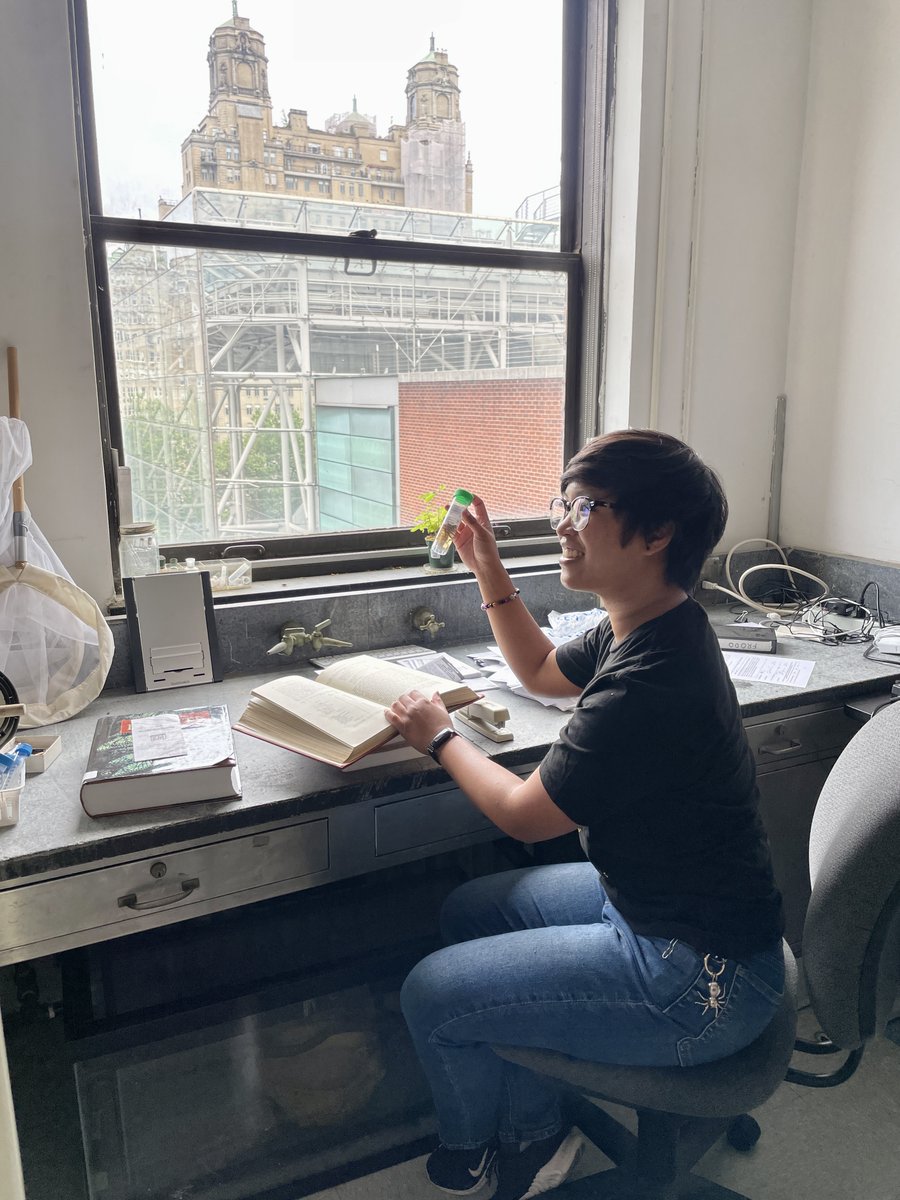 AMNH's tweet photo. Today, Museum staff participated in #DaylightHours! This annual global campaign encourages people to turn off all non-essential lighting to raise greater awareness of energy-saving practices. Pictured is @RGGSatAMNH PhD candidate @entomolrj examining an insect. https://t.co/D6fBUEsxts
