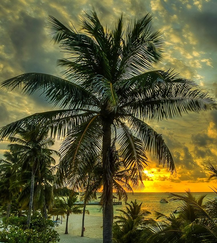 Sunset at the ocean west coast in Cuba 🇨🇺 

#nature #naturephotography #naturebeauty #scenic #photography