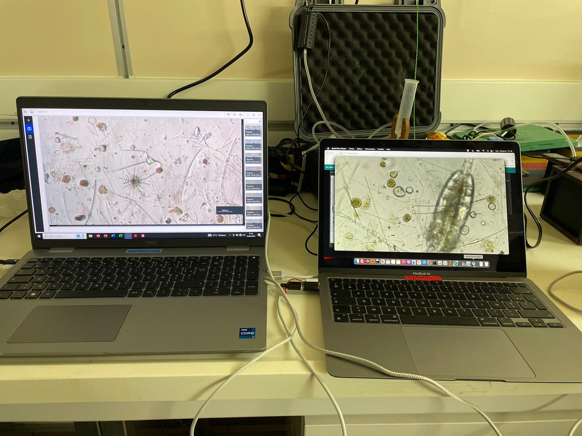 APERO Cruise (@apero_cruise) on Twitter photo A bord du Pourquoi Pas? 🚢 | Les diatomées font leur retour dans les échantillons du Phytonet!
Imagerie du microplancton grâce à 3 types de microscopes : inversé, planktoscope et microscope curiosity ! 🔬
<a href="/PlanktonPlanet/">PlanktonPlanet</a>
@MIOceanologie <a href="/LovLabo/">LABO LOV</a>
📸 <a href="/fabien_lombard/">fabien lombard</a> A bord du Pourquoi Pas? 🚢 | Les diatomées font leur retour dans les échantillons du Phytonet!
Imagerie du microplancton grâce à 3 types de microscopes : inversé, planktoscope et microscope curiosity ! 🔬
<a href="/PlanktonPlanet/">PlanktonPlanet</a>
@MIOceanologie <a href="/LovLabo/">LABO LOV</a>
📸 <a href="/fabien_lombard/">fabien lombard</a>