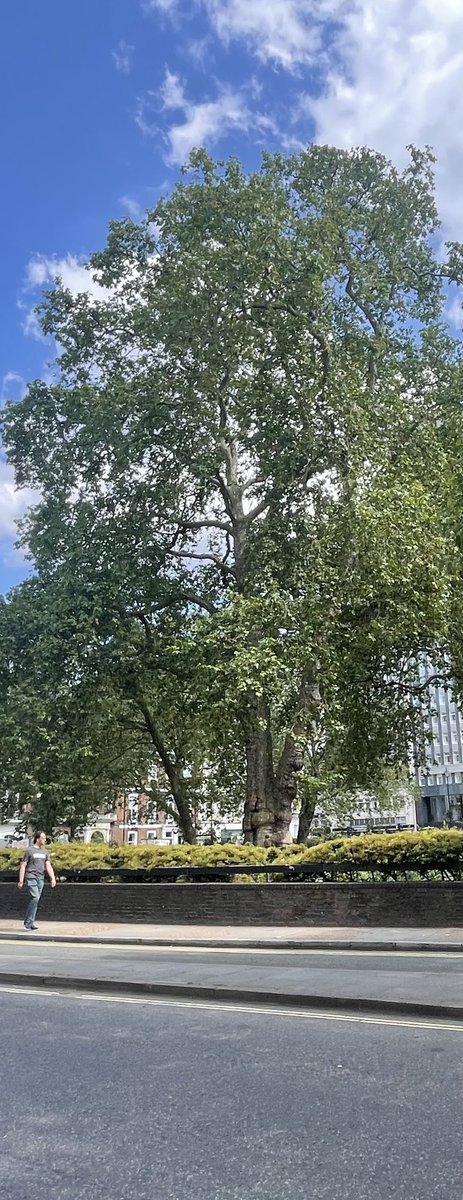 ALASTAIR CAMPBELL tweet media