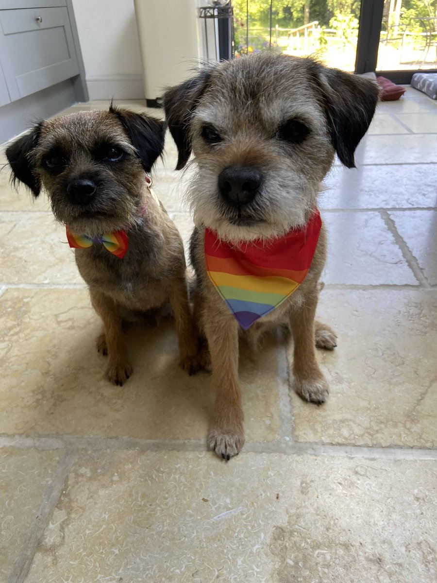 Pals, we are a bit late to the party, but here’s Uncle Teds and I rocking our #GayPrideMonth bandanas and bow.