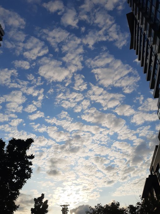 Dreaming https://t.co/8bDDAAbM4P<a href="/tag/cute"class="tags"><span>#cute</span></a><a href="/tag/hot"class="tags"><span>#hot</span></a><a href="/tag/soft"class="tags"><span>#soft</span></a>