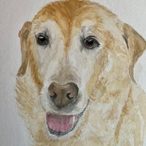 dogs_nc's tweet photo. For a $350 donation to CrisisdogsNC Canadian artist Isabel Ruttle will create an acrylic and watercolor portrait of your beloved companion. Also a wonderful gift for someone who loves an animal companion! Here are just some of the portraits.  For details contact@crisisdogsnc.org https://t.co/QxhaOcA9U7