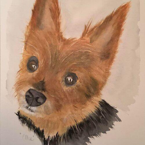 dogs_nc's tweet photo. For a $350 donation to CrisisdogsNC Canadian artist Isabel Ruttle will create an acrylic and watercolor portrait of your beloved companion. Also a wonderful gift for someone who loves an animal companion! Here are just some of the portraits.  For details contact@crisisdogsnc.org https://t.co/QxhaOcA9U7