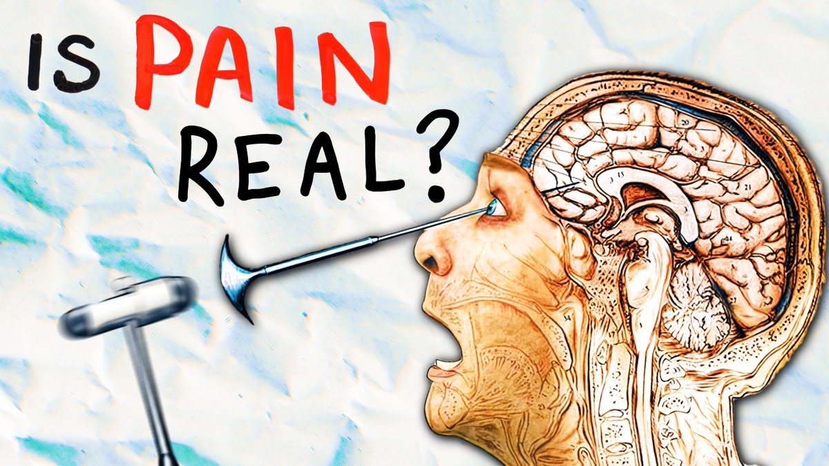 Does Pain Actually Hurt?

[new video] --&gt; youtu.be/hax2be-DlhY