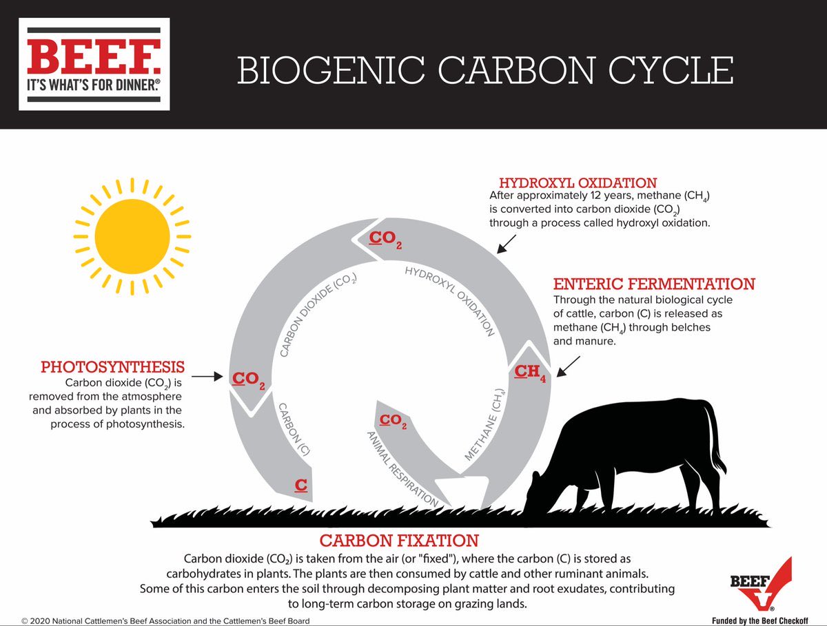 @dwnews It is completely ridiculous. Cows are part of a net zero carbon cycle.