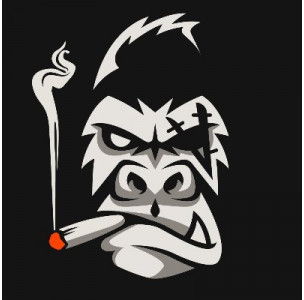 Rare Evo: A Blockchain Event tweet media