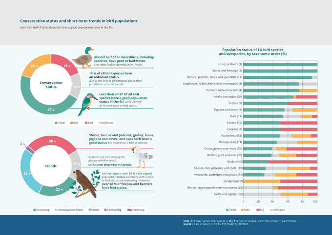 UN Biodiversity (@unbiodiversity) on Twitter photo 🇪🇺Europe has seen a major decline in #biodiversity.
Less than half of bird species have a good population status in the EU.🐦Birds are sensitive to the environment & can reflect ecosystem changes.
👇More on the conservation status of birds w/ infographic by
<a href="/EUEnvironment/">EU EnvironmentAgency</a> 🇪🇺Europe has seen a major decline in #biodiversity.
Less than half of bird species have a good population status in the EU.🐦Birds are sensitive to the environment & can reflect ecosystem changes.
👇More on the conservation status of birds w/ infographic by
<a href="/EUEnvironment/">EU EnvironmentAgency</a>